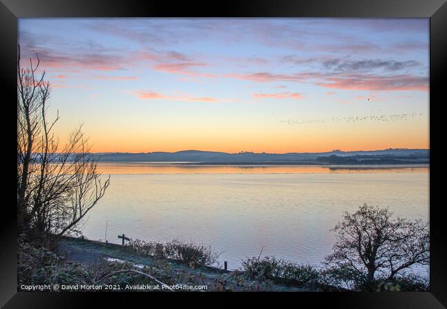 Flock of Birds at Dawn Over the Taw Estuary Framed Print by David Morton