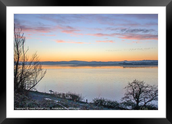Flock of Birds at Dawn Over the Taw Estuary Framed Mounted Print by David Morton
