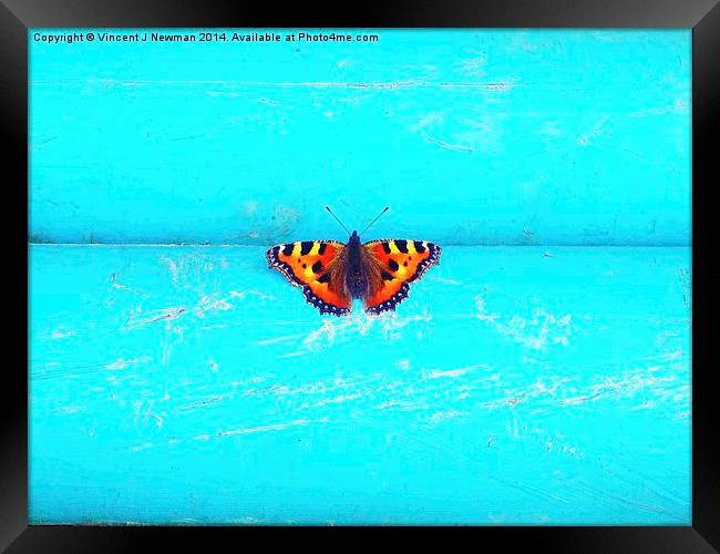 Butterfly- Unique Photography Framed Print by Vincent J. Newman