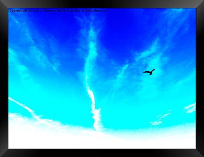 Bird In The Sky- Abstract Photography Framed Print by Vincent J. Newman