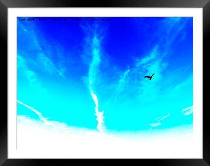 Bird In The Sky- Abstract Photography Framed Mounted Print by Vincent J. Newman
