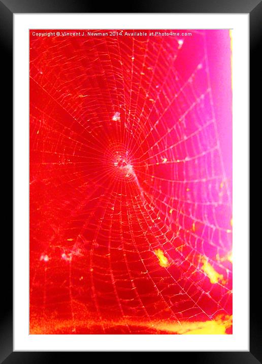 Scarlet Web- Unique Abstract Photgraphy Framed Mounted Print by Vincent J. Newman