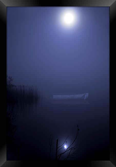 Moonlight Serenade Framed Print by Steve Hardiman