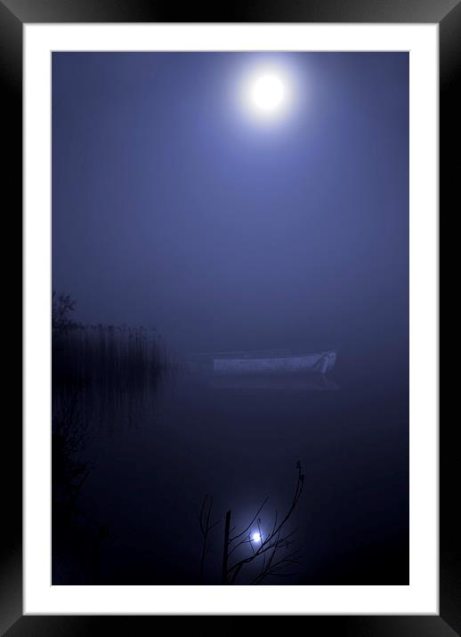 Moonlight Serenade Framed Mounted Print by Steve Hardiman
