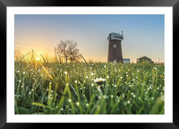  Mill at Dawn Framed Mounted Print by Steve Hardiman