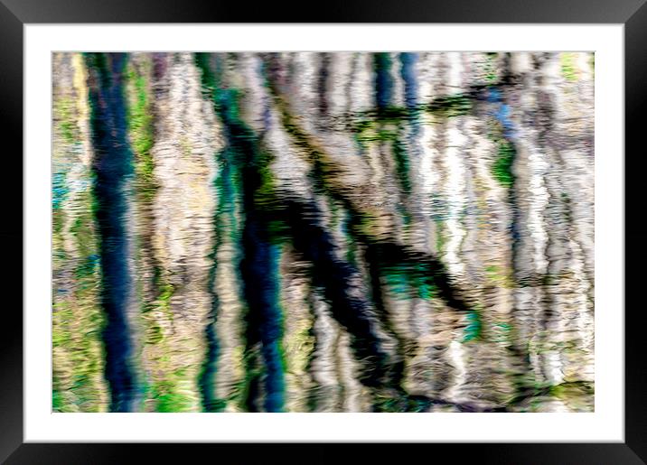 Reflections dreamscape Framed Mounted Print by Mike Janik