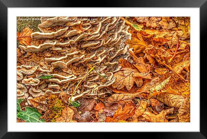 Abstract Nature Framed Mounted Print by Mike Janik