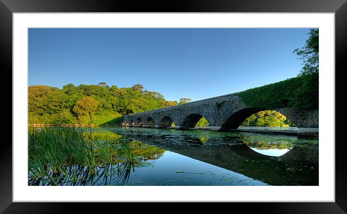 The Bridge Framed Mounted Print by Mark Robson