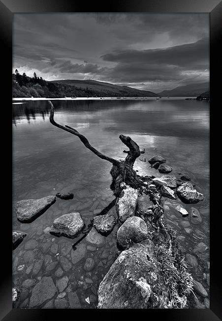 Evening At The Loch Framed Print by Mark Robson