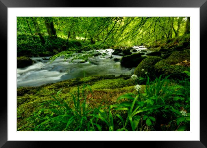 Woodland Wonders Framed Mounted Print by Mark Robson