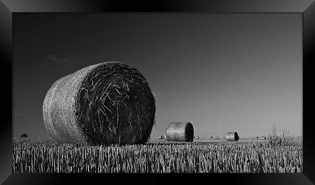 Straw Bales Framed Print by Mark Robson