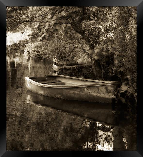 The Lake Framed Print by Mark Robson