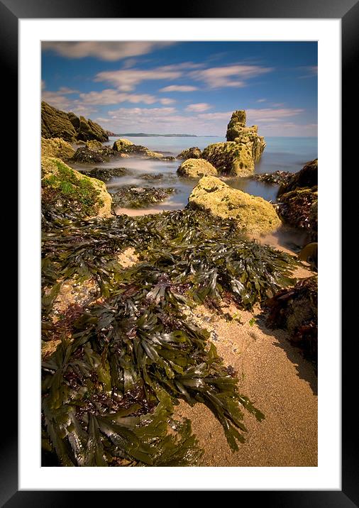 Seaweed Dressing Framed Mounted Print by Mark Robson