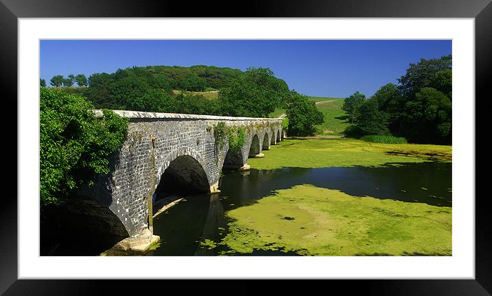 Bosherston Lily Ponds Framed Mounted Print by Mark Robson
