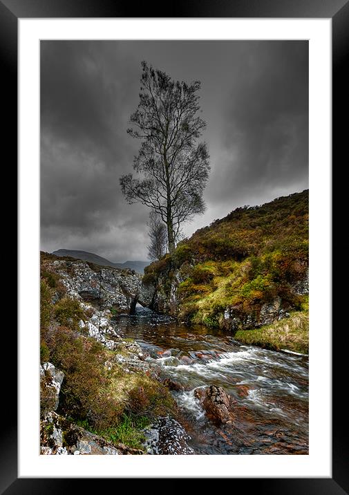 Lonely Tree Framed Mounted Print by Mark Robson