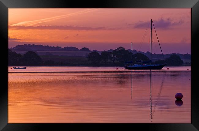 Port Lion Framed Print by Mark Robson