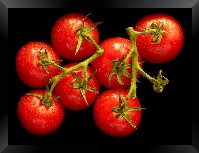 Tomatoes  Framed Print by richard pereira