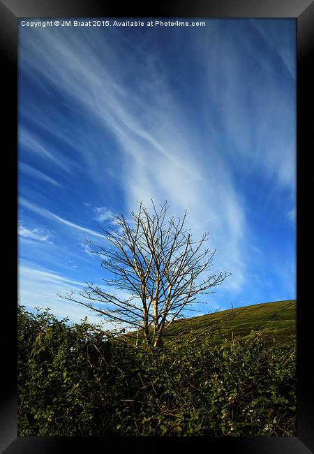 Lone Tree in Colour  Framed Print by Jane Braat