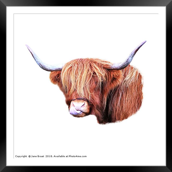 Highland Cow Framed Mounted Print by Jane Braat