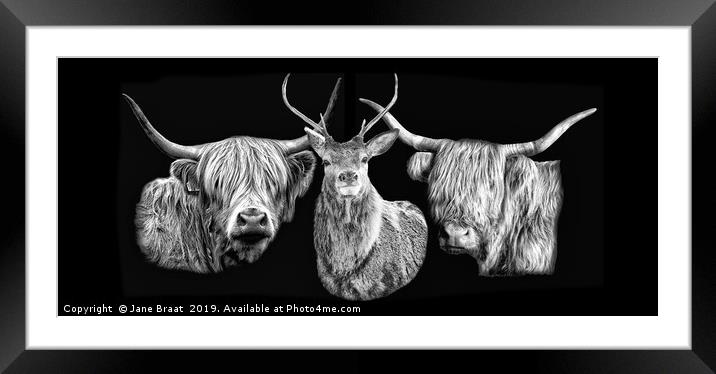 Highland Portraits Framed Mounted Print by Jane Braat