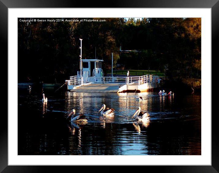 Pelican Ferry Barge Framed Mounted Print by Gwion Healy