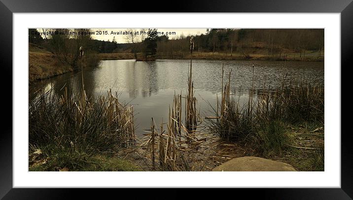  serenity pool Framed Mounted Print by william peplow