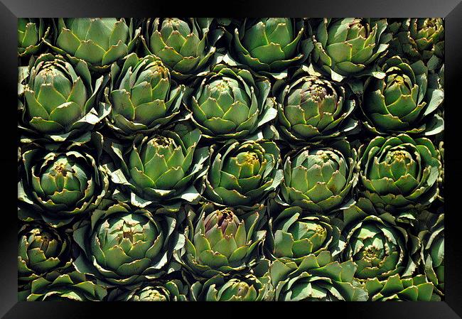 Delicious Artichokes Framed Print by Jacqueline Burrell