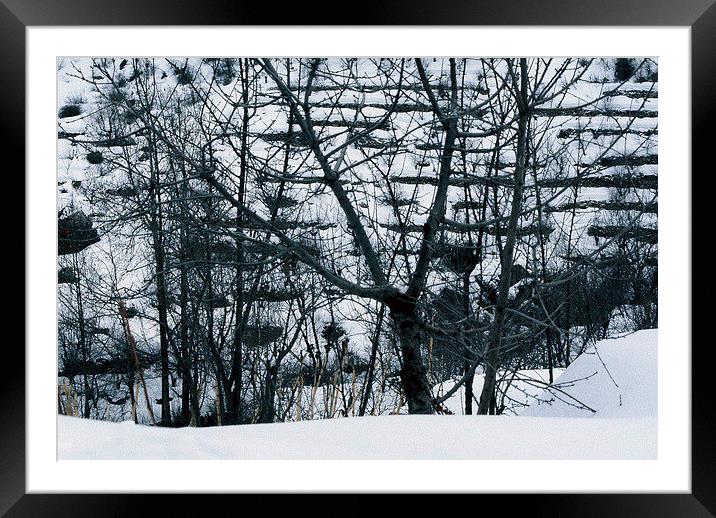 Winter Terraces Framed Mounted Print by Jacqueline Burrell