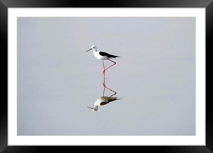 Best Foot Forward 2 Framed Mounted Print by Jacqueline Burrell
