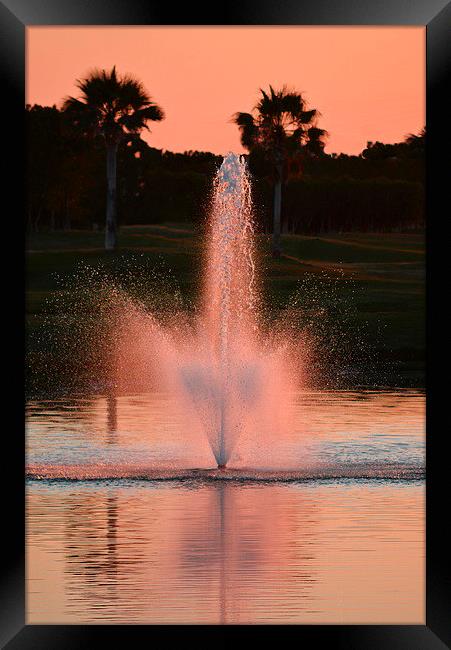 Sunset Pink Fountain Framed Print by Jacqueline Burrell