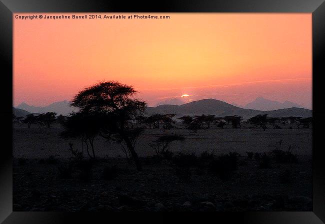 Windswept Trees, Eastern Desert, Egypt Framed Print by Jacqueline Burrell