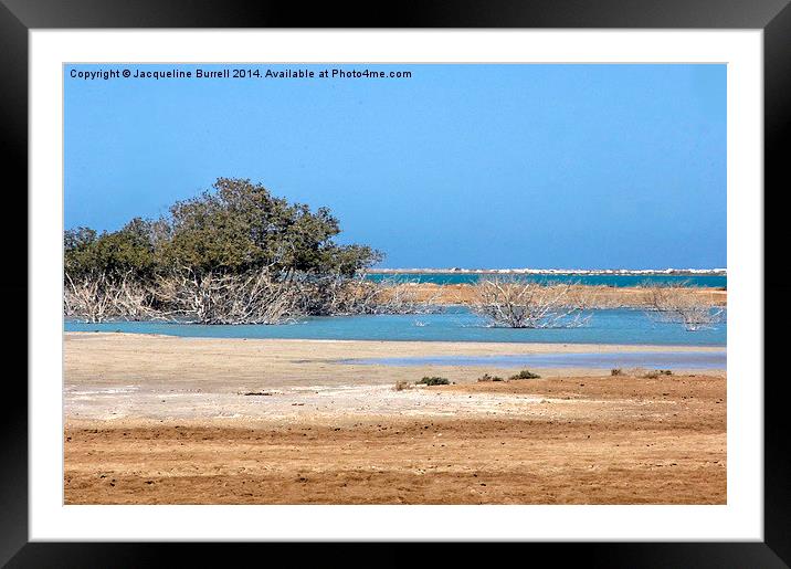 Wadi Lahami, Egyptian Red Sea Framed Mounted Print by Jacqueline Burrell