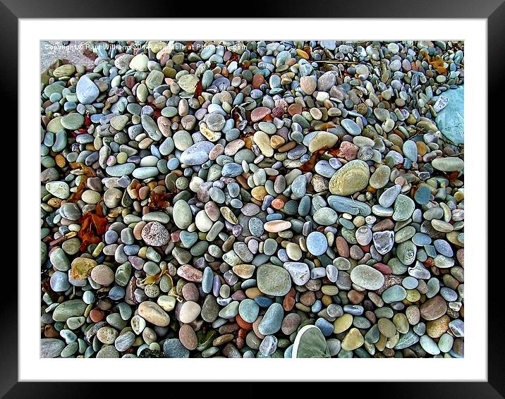 Beach Pebbles Framed Mounted Print by Paul Williams
