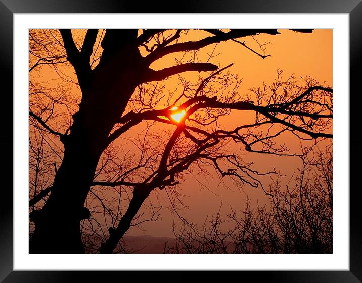 Sunset Framed Mounted Print by Steve Falla