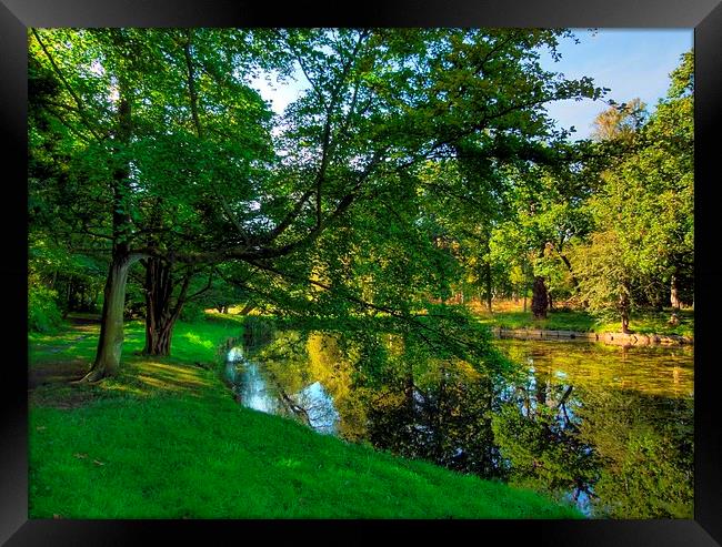  Lakeside Framed Print by Steve Falla