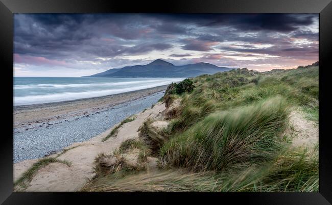 Murlough Beach Sand Dunes Mourne Mountains Norther Framed Print by Chris Curry