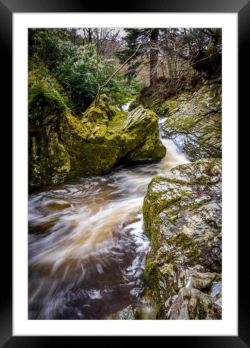  Tollymore Forest, Mournes, Northerm Ireland Game  Framed Mounted Print by Chris Curry