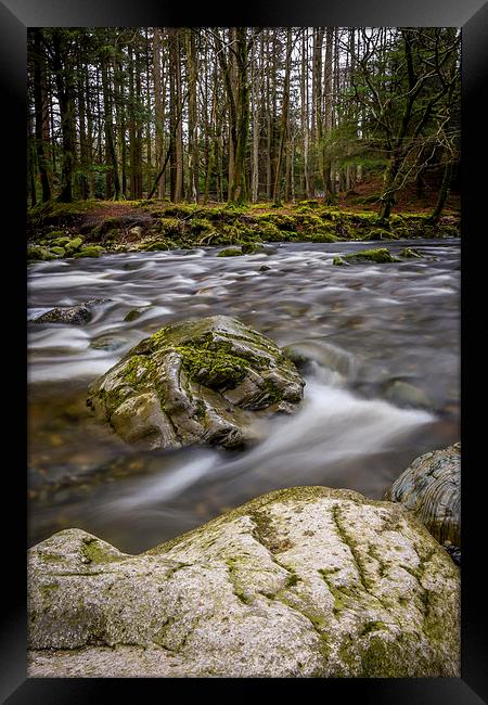 Shimna River Tollymore Forrest - Ireland Framed Print by Chris Curry