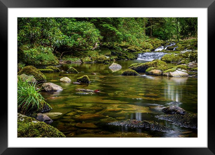  Mournes Shimna River Tollymore Forest Framed Mounted Print by Chris Curry