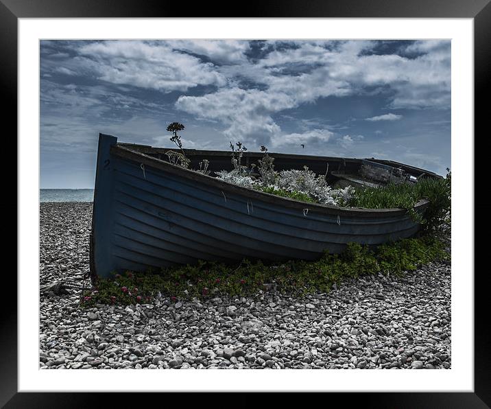 Beached Framed Mounted Print by Darryl Harrison