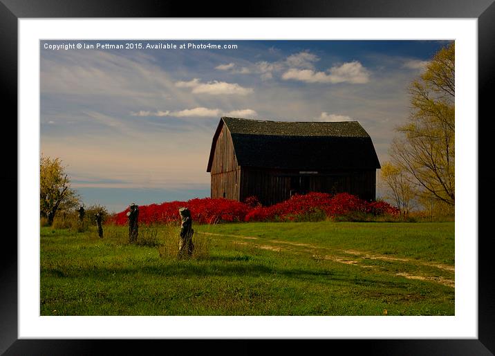  Fall Red Barn Framed Mounted Print by Ian Pettman