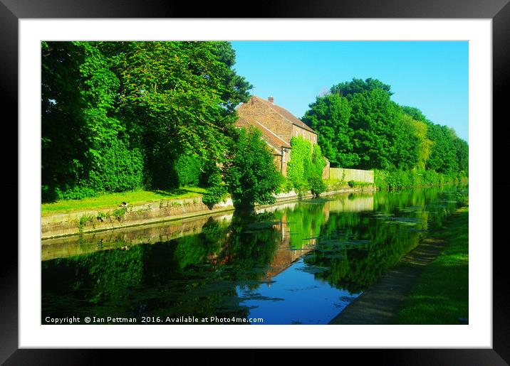 River Reflections Framed Mounted Print by Ian Pettman