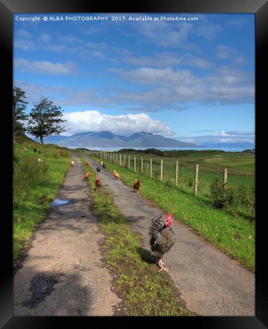 Rush Hour. Framed Print by ALBA PHOTOGRAPHY