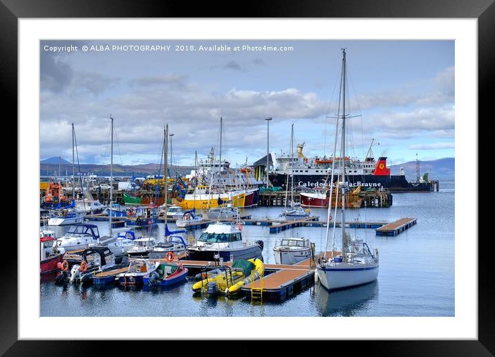 Mallaig Harbour, North West Scotland Framed Mounted Print by ALBA PHOTOGRAPHY