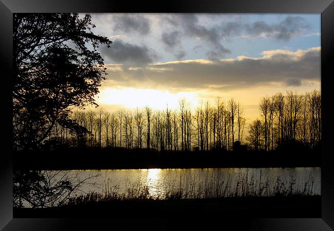 Lake Sunset Framed Print by Rob Seales