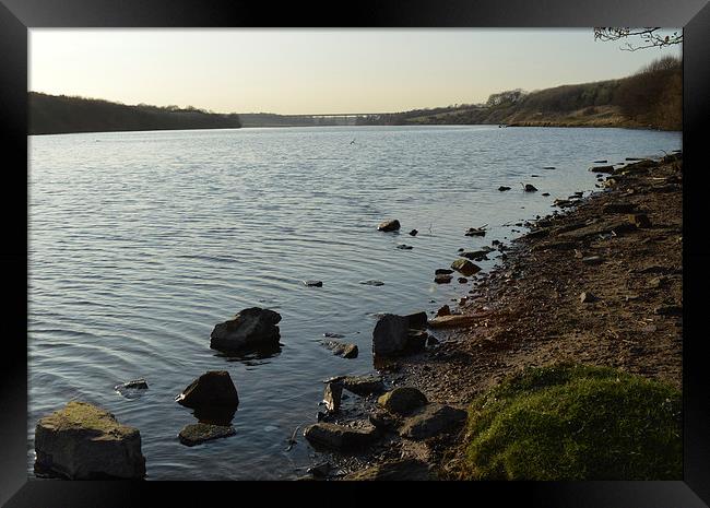 River Wansbeck Framed Print by Michael Ross