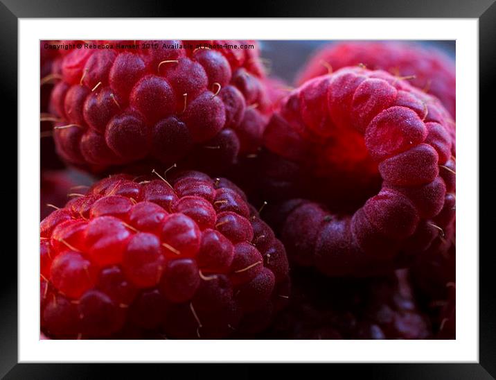  Fresh Raspberries  Framed Mounted Print by Rebecca Hansen