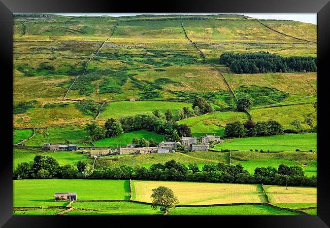  Hamlet Satron in Swaledale, Yorkshire Dales Framed Print by Gisela Scheffbuch