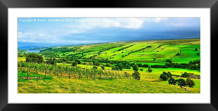  Nidderdale Framed Mounted Print by Gisela Scheffbuch