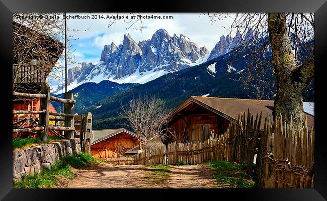 St. Jacob in the Villnoess Valley in South Tyrol w Framed Print by Gisela Scheffbuch